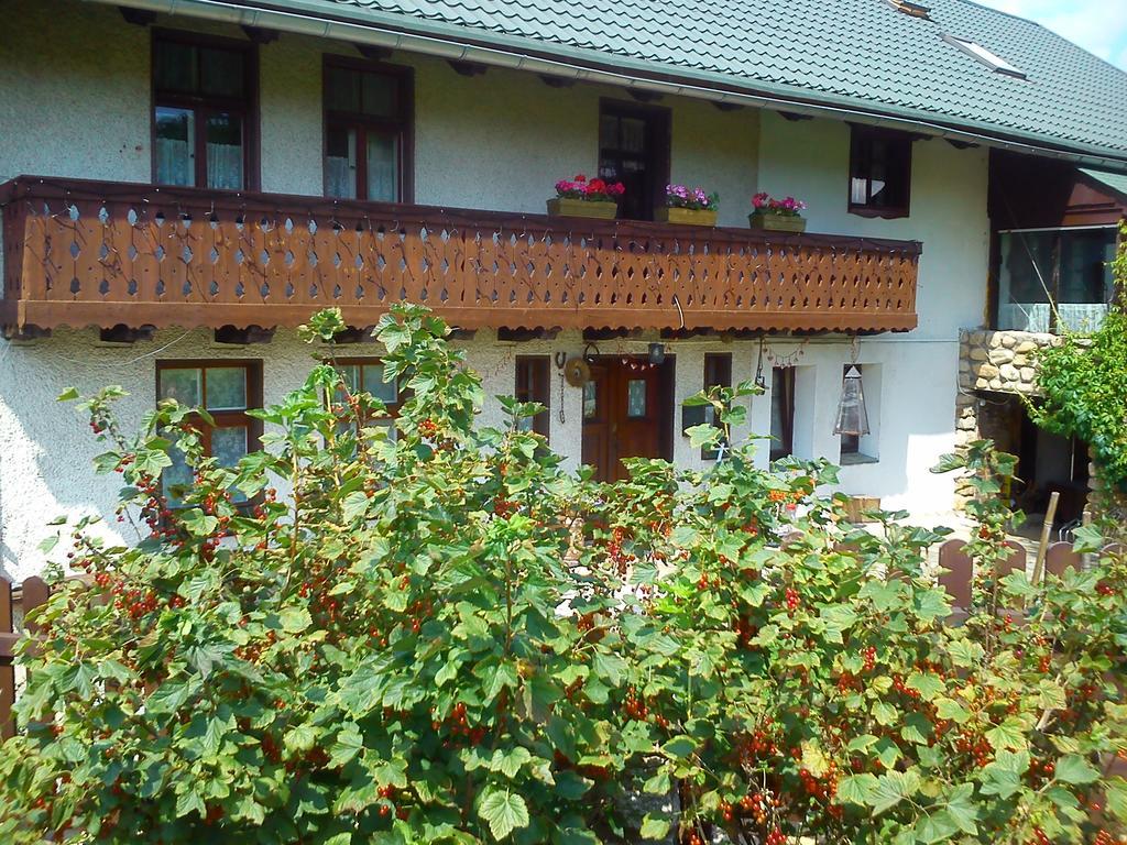 Pensjonat Nostalgia Sosnówka Exterior foto