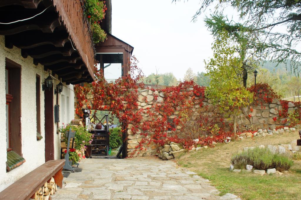 Pensjonat Nostalgia Sosnówka Exterior foto